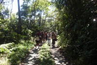 /album/fotos-de-paranapiacaba-2011/sdc10058-jpg/