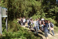 /album/fotos-de-paranapiacaba-2011/sdc10070-jpg/