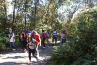 /album/fotos-de-paranapiacaba-2011/sdc10071-jpg/