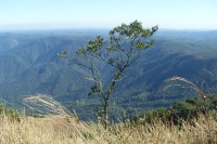 /album/fotos-de-paranapiacaba-2011/sdc10088-jpg/