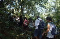 /album/fotos-de-paranapiacaba-2011/sdc10137-jpg/