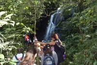 /album/fotos-de-paranapiacaba-2011/sdc10146-jpg/